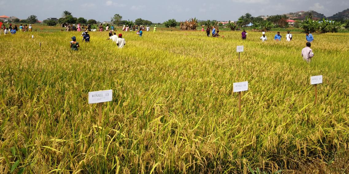 圖片5.jpg 圖片5.jpg