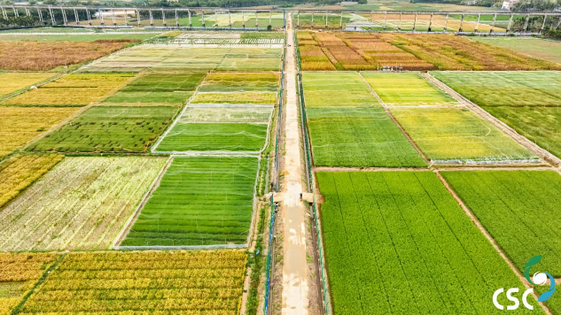 圖片16.png 圖片16.png